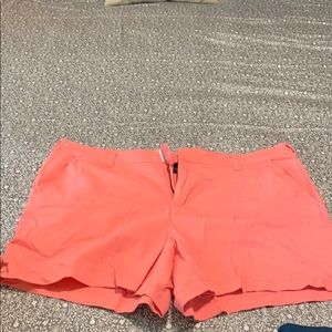 2 pairs of Lane Bryant shorts